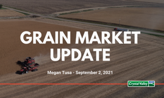 Grain Update